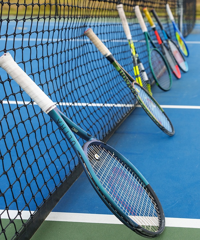Tennis Rackets Lined Up Against the Net